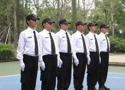 保安背景,保安职业背后的故事与挑战