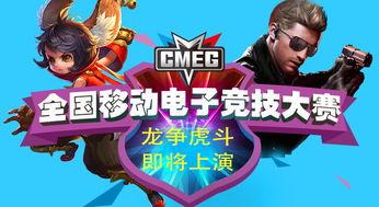 番茄娱乐龙争虎斗输钱,输钱背后的故事揭秘